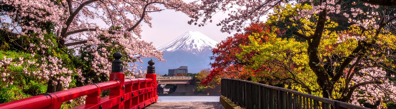 Cruise Veer Oosten bij Stip Reizen